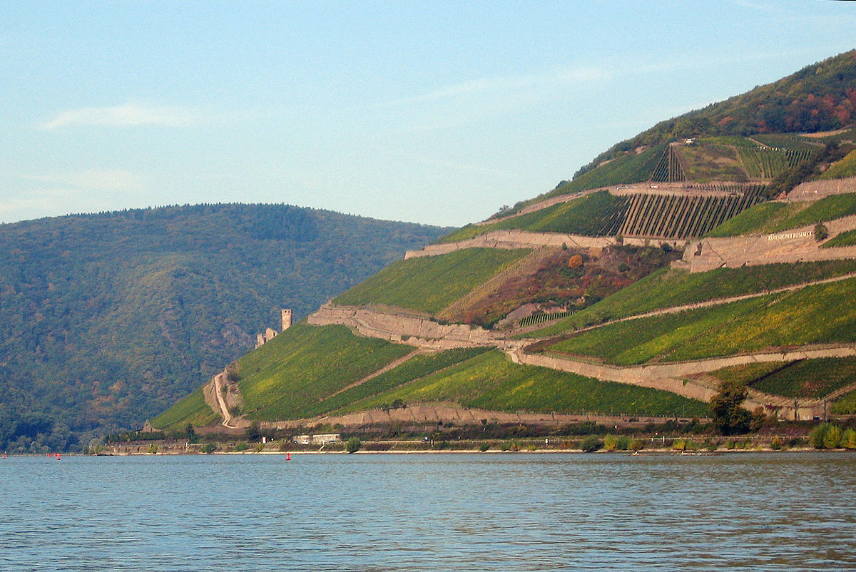 Yeah, those are vineyards along the Rhine. Yes, they are that steep. Image: Wikimedia user Tomas er (CC BY-SA 3.0)