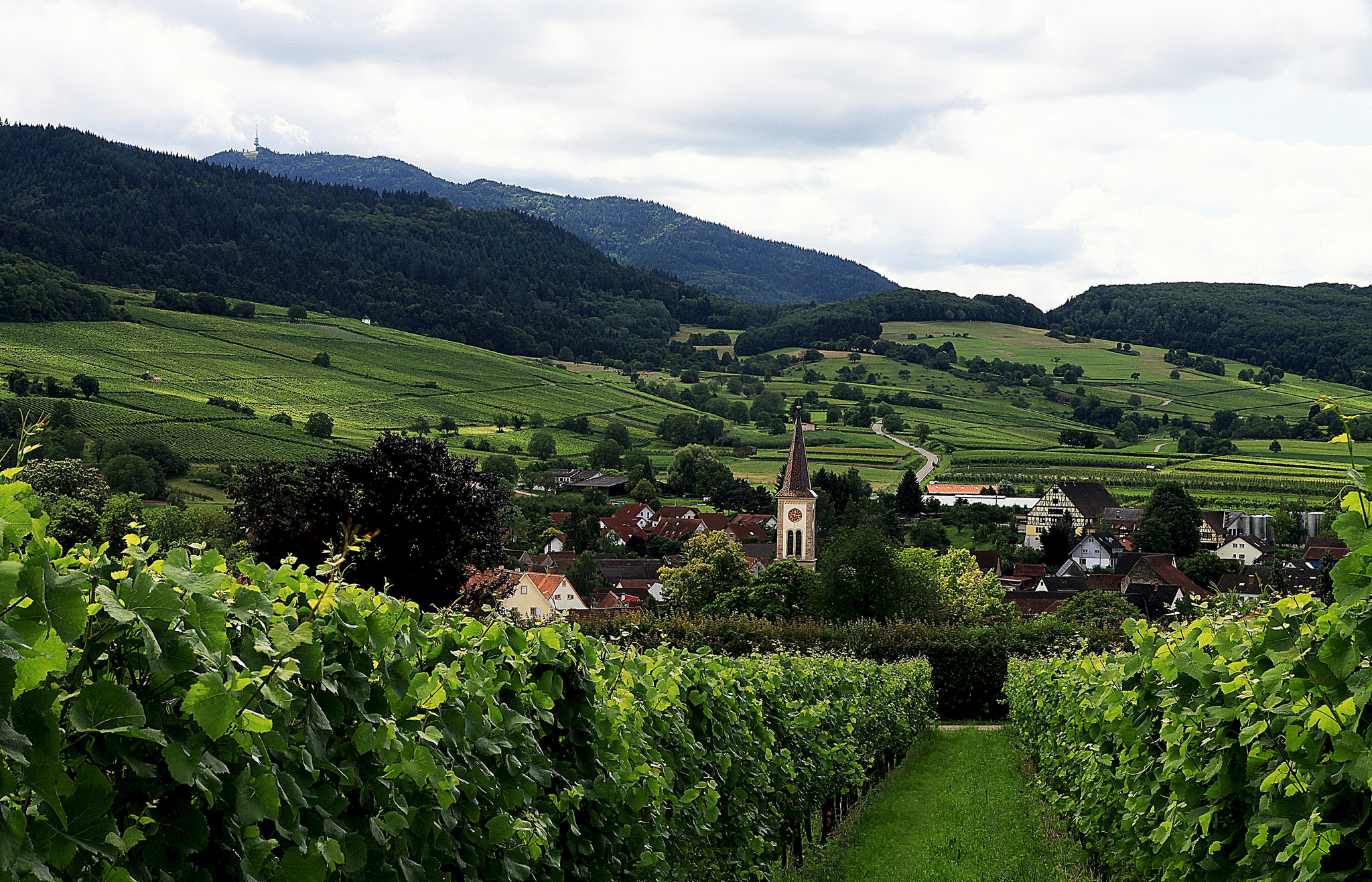 Village of Laufen, Rhine Valley, Germany. Image: Flickr user Peter Rintels (CC BY-ND 2.0)