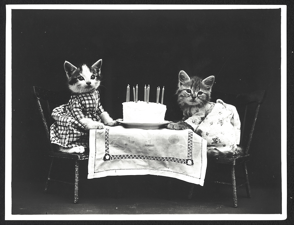 Frees, Harry Whittier, photographer. The Birthday Cake. , ca. 1914. June 24. Photograph. https://www.loc.gov/item/2013648266/.